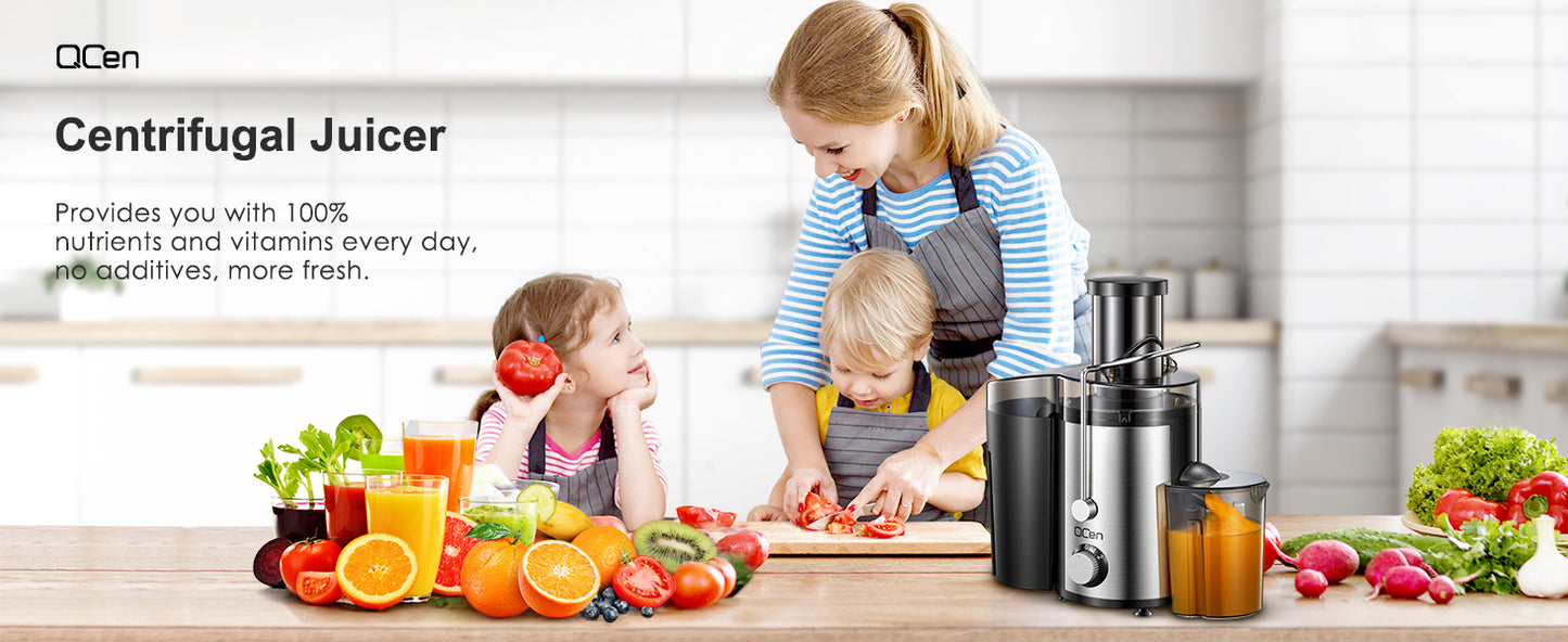 800W Stainless Steel Juicer