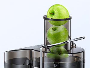 800W Stainless Steel Juicer