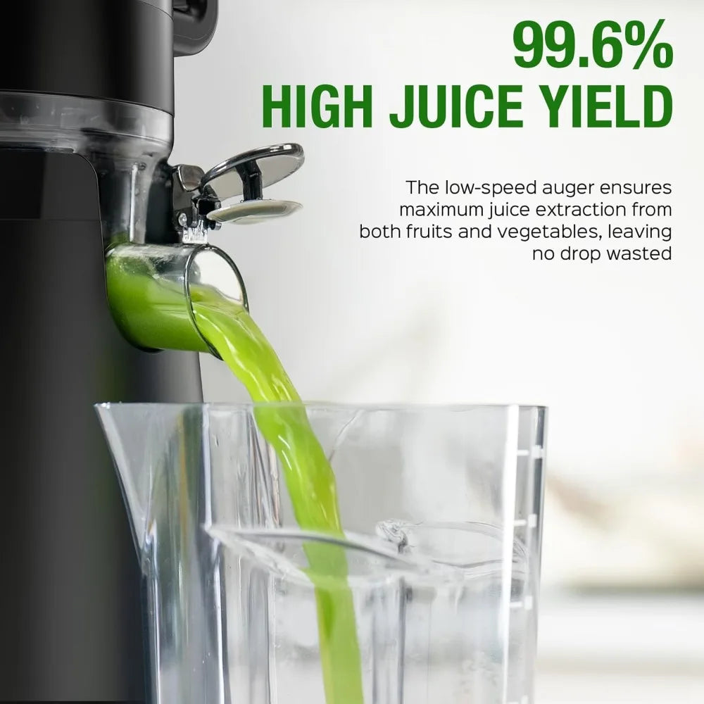 Cold Press Slow Juicer 300W