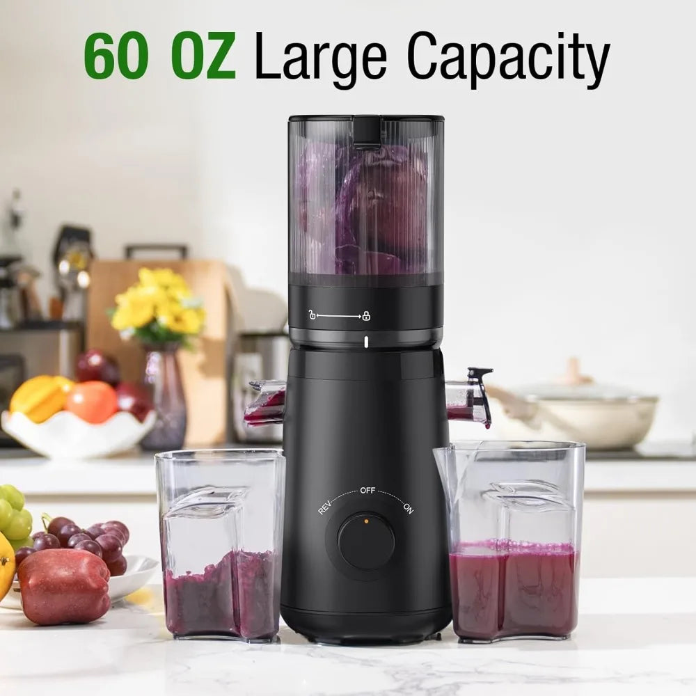 Cold Press Slow Juicer 300W