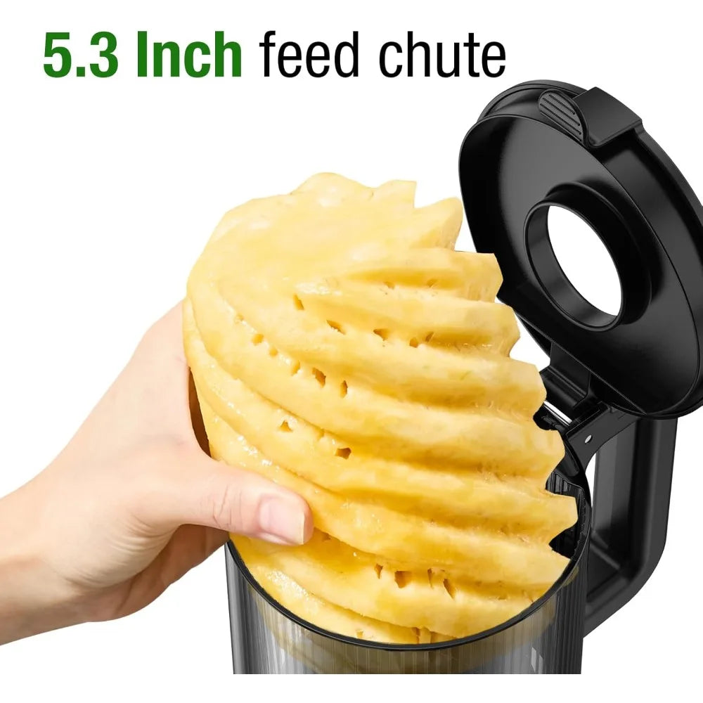 Cold Press Slow Juicer 300W