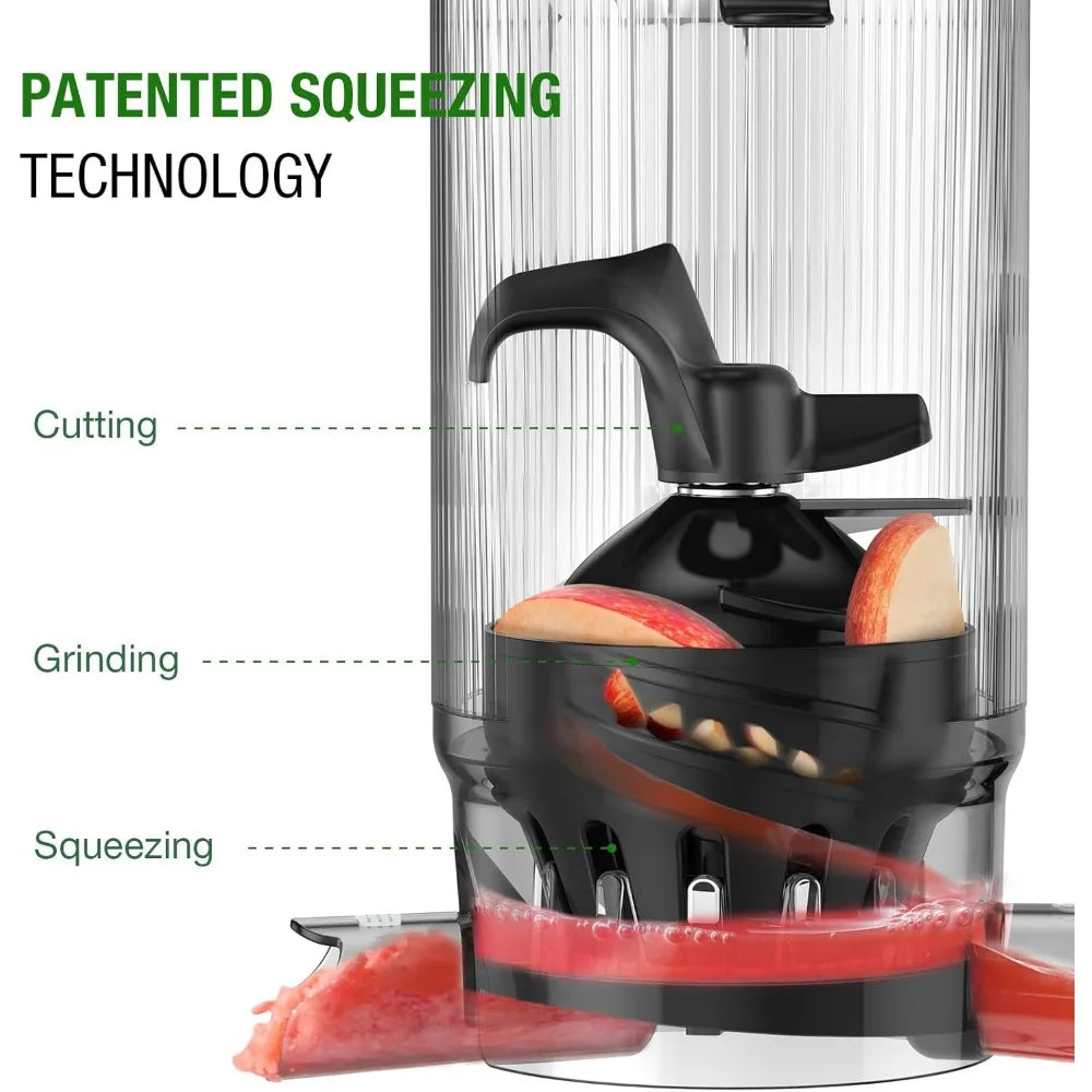 Cold Press Slow Juicer 300W