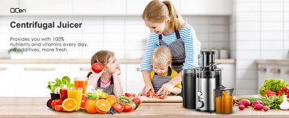800W Stainless Steel Juicer