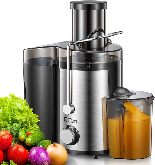 800W Stainless Steel Juicer